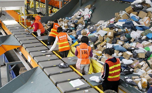 直線窄帶分揀機11