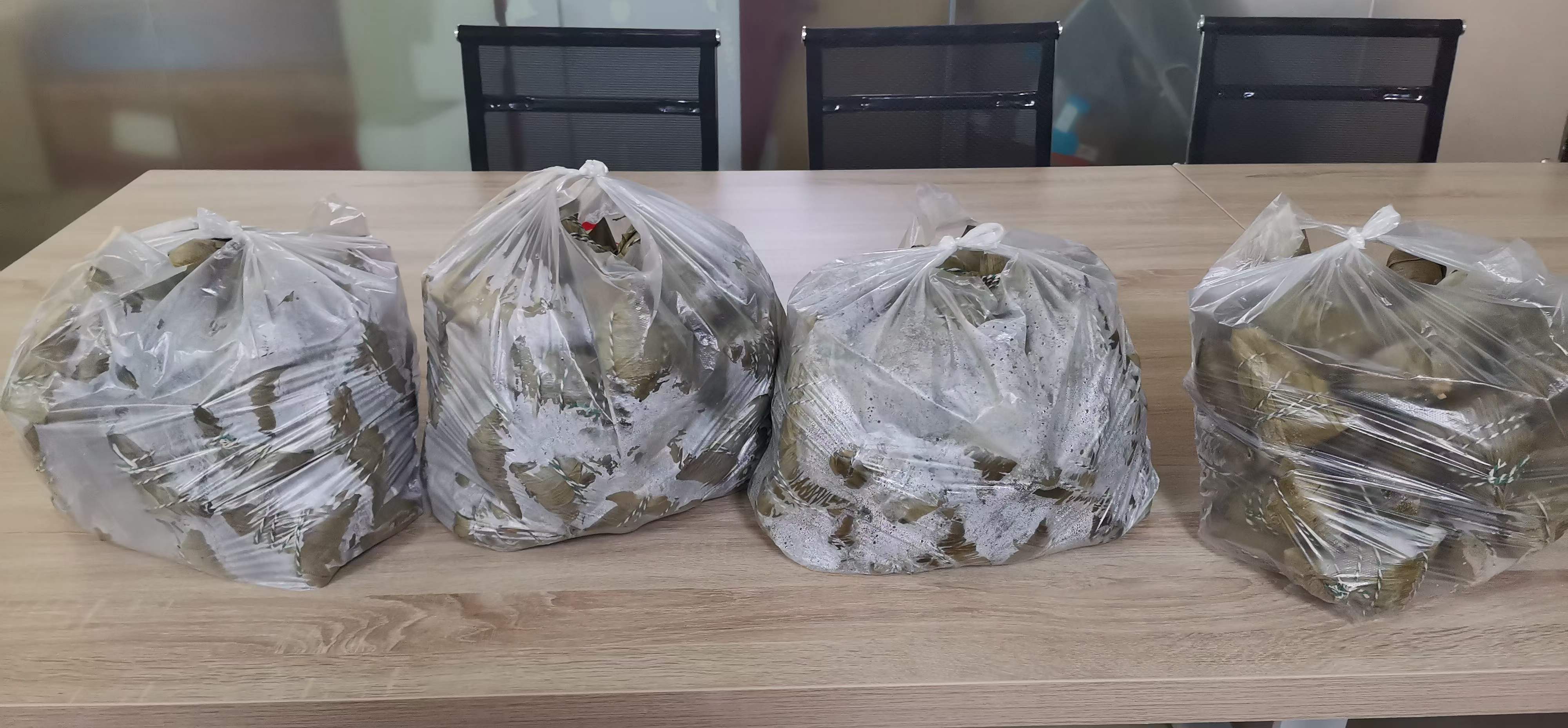 微信圖片_20230621135859